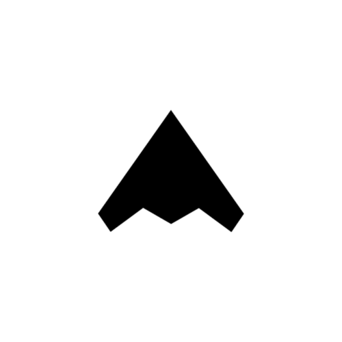 Stealth Startup